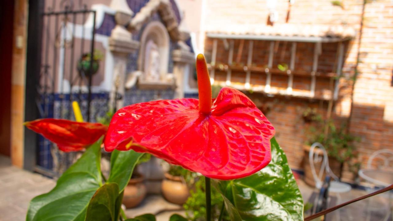 Mansion Mijashe Wellness & Travel House Hotel Morelia Exterior foto